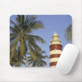 Caraïbisch gebied, Bahama's, Abaco, Elbow Cay. Hop Muismat (Met muis)