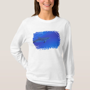 Caraïbisch gebied, Bahama's gevlekte dolfijn T-shirt