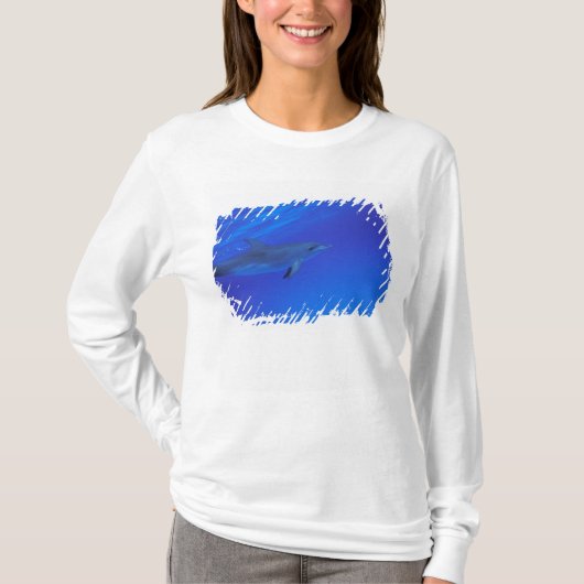 Caraïbisch gebied, Bahama's gevlekte dolfijn T-shirt (Voorkant)
