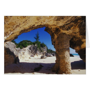 Caraïbisch gebied, Bermuda, Tucker's Town. Natuurl