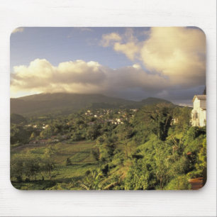 Caraïbisch gebied, Frans West Indies, Martinique. Muismat