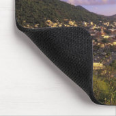 Caraïbisch gebied, Frans West Indies, St. Martin. Muismat (Hoek)