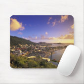 Caraïbisch gebied, Frans West Indies, St. Martin. Muismat (Met muis)