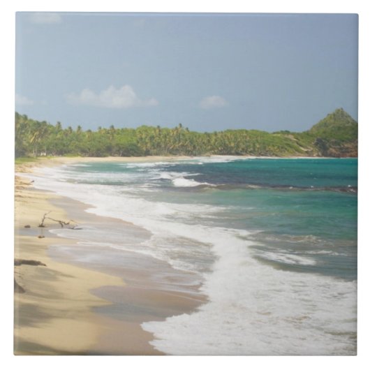 Caraïbisch gebied, GRENADA, Oostkust, Grenada Bay, Tegeltje (Voorkant)