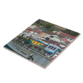 Caraïbisch gebied, GRENADA, St. George's, St. Geor Tegeltje (Zijkant)