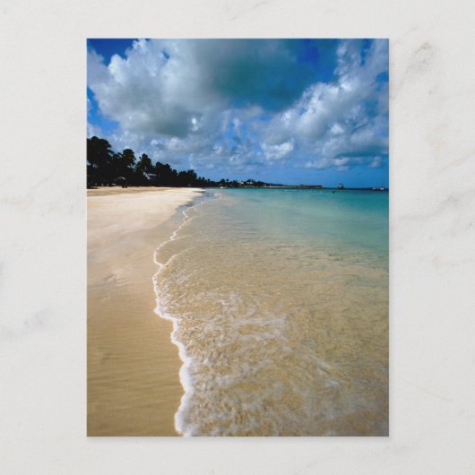 Caraïbisch gebied, Leeuwse eilanden, Antigua, Dick Briefkaart (Voorkant)