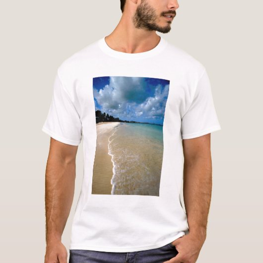 Caraïbisch gebied, Leeuwse eilanden, Antigua, Dick T-shirt (Voorkant)