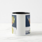 Caraïbisch gebied, Maagdeneilanden. Tropische rum  Mok (Midden)