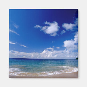 Caraïbisch gebied, minder Antillen, West Indies, Magneet