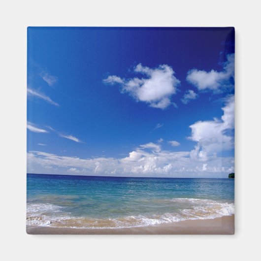 Caraïbisch gebied, minder Antillen, West Indies, Magneet (Voorkant)