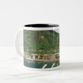 Caraïbisch gebied, Saint Lucia, Soufriere. Bot in Tweekleurige Koffiemok (Voorkant links)