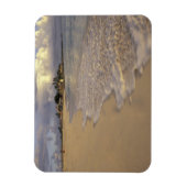 Caraïbisch gebied, Sint-Maarten. Maho Bay Magneet (Verticaal)