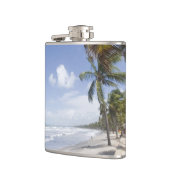 Caraïbisch gebied - Trinidad - Manzanilla-strand o Heupfles (Links)