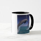 Caraïbisch gebied, Tuimelaars Tursiops Mok (Voorkant rechts)