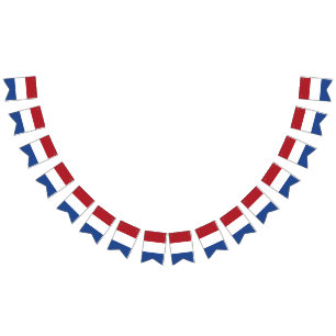 Caraïbisch-Nederlandse vlag Vlaggetjes