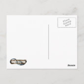 Caraïbisch piraatschip briefkaart (Achterkant)