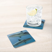 Caraïbisch rif kartonnen onderzetters (Insitu)