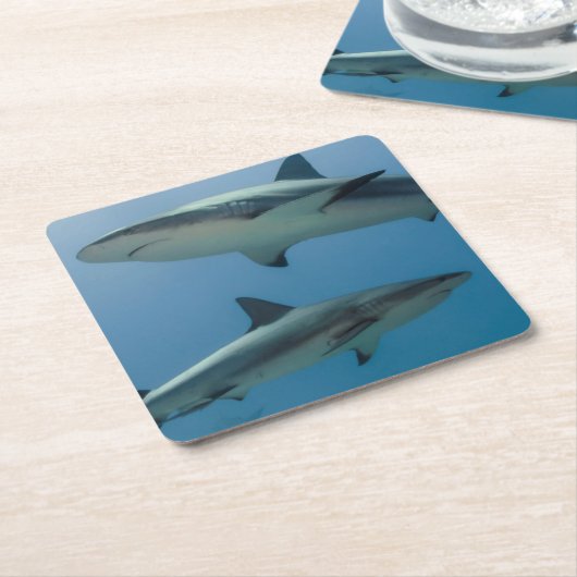 Caraïbisch rif kartonnen onderzetters (Schuin)