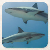 Caraïbisch rif kartonnen onderzetters (Voorkant)