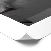 Caraïbisch rif poster (Hoek)