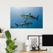 Caraïbisch rif poster (Thuiskantoor)