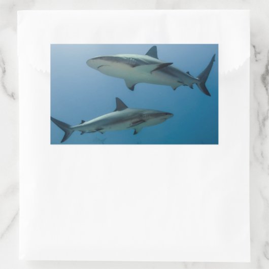 Caraïbisch rif rechthoekige sticker (Tas)