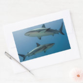 Caraïbisch rif rechthoekige sticker (Envelop)