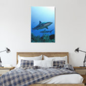 Caraïbisch rif Shark Jardines de la Reina Canvas Afdruk (Insitu (Slaapkamer))