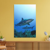 Caraïbisch rif Shark Jardines de la Reina Canvas Afdruk (Insitu (Woonkamer))