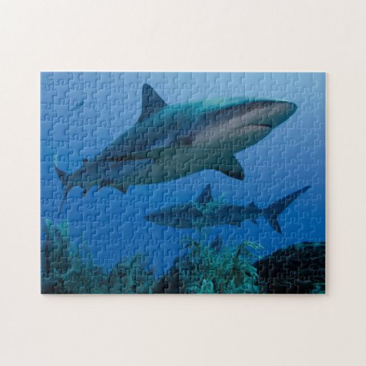 Caraïbisch rif Shark Jardines de la Reina Legpuzzel (Horizontaal)