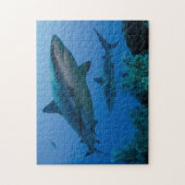 Caraïbisch rif Shark Jardines de la Reina Legpuzzel (Verticaal)