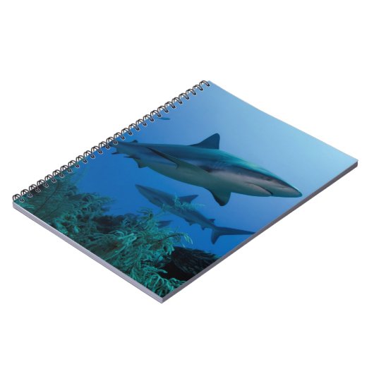 Caraïbisch rif Shark Jardines de la Reina Notitieboek (Linkerzijde)