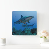 Caraïbisch rif Shark Jardines de la Reina Vierkante Klok (Huis)