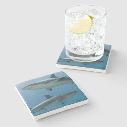 Caraïbisch rif stenen onderzetter (Zijkant)