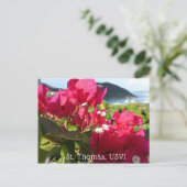 Caraïbisch roze Bougainvillea Briefkaart (Staand voorkant)