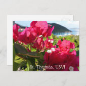 Caraïbisch roze Bougainvillea Briefkaart (Voorkant / Achterkant)