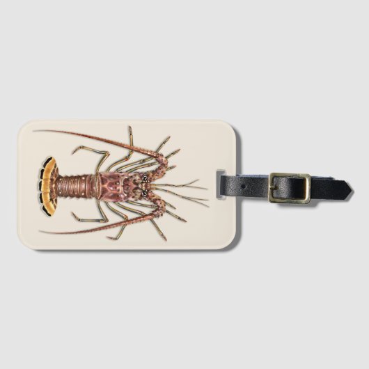 Caraïbisch Spiny Lobster Bagagelabel (Voorkant (horizontaal))