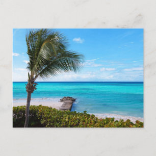 Caraïbisch strand briefkaart