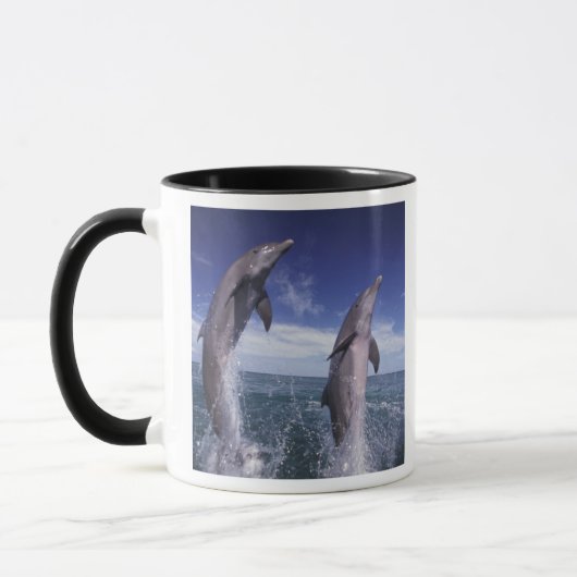 Caraïbisch, Tuimelaars Tursiops Mok (Links)
