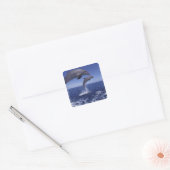 Caraïbisch, Tuimelaars Vierkante Sticker (Envelop)