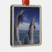 Caraïbisch, Tursiops Metalen Ornament (Rechts)