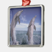 Caraïbisch, Tursiops Metalen Ornament (Links)