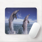 Caraïbisch, Tursiops Muismat (Met muis)