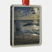 Caraïbisch Zee, Kaaimaneilanden.  Scheergolven Metalen Ornament (Rechts)