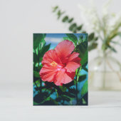 Caraïbische bloem briefkaart (Staand voorkant)