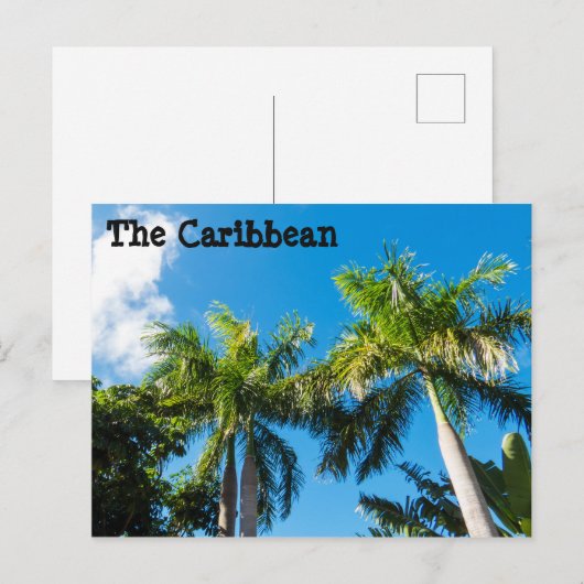 Caraïbische bomen briefkaart (Voorkant / Achterkant)