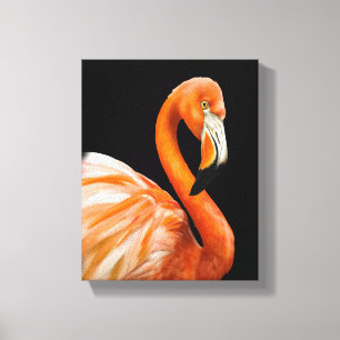 Caraïbische falmingo canvas afdruk