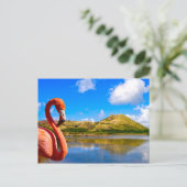 Caraïbische flamingo in St Kitts Briefkaart (Staand voorkant)