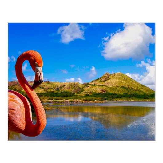 Caraïbische flamingo in St kitts canvas Perfect Poster (Voorkant)