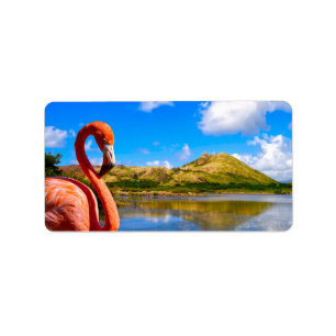 Caraïbische flamingo in St Kitts Etiket